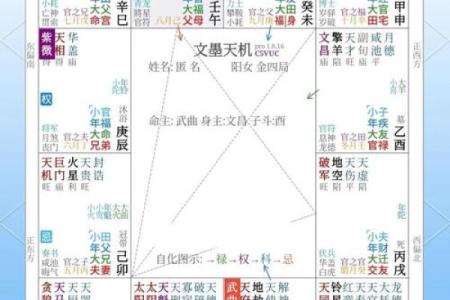 紫薇斗数木火通明