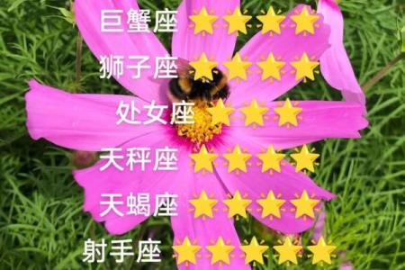 白羊座未来十二星座运势