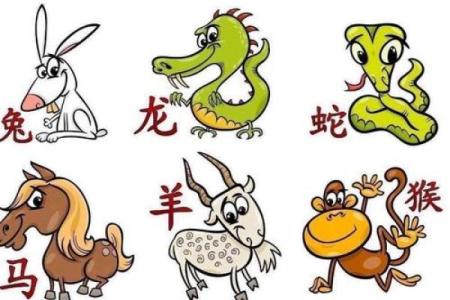 【八字扒开猜动物】猜猜你生肖是哪一只？