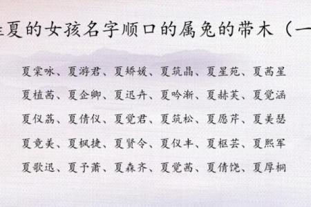 女孩缺木取名大全文雅,八字看下半年运势