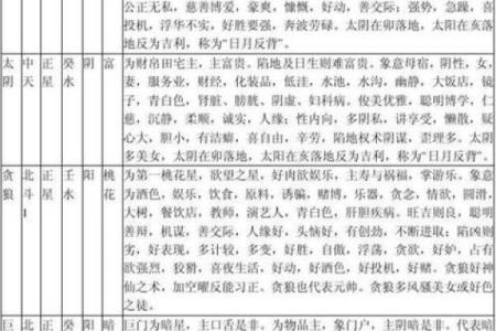 飞星紫微斗数原旨