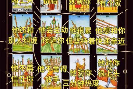 塔罗测试TA值得你这么在乎吗？