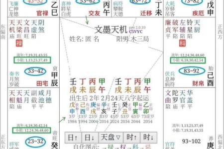 紫薇斗数准