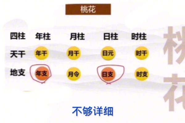 八字里桃花
