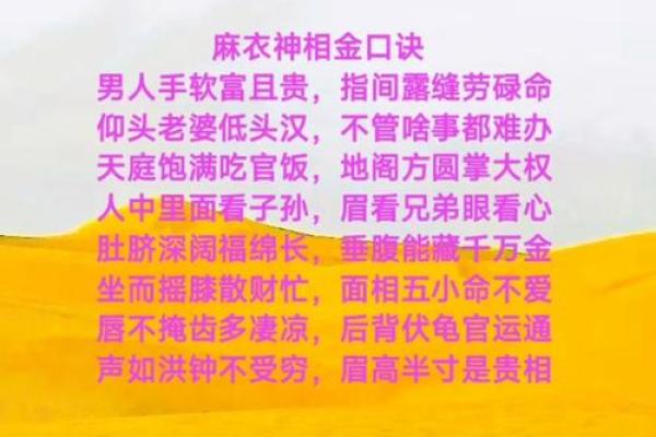 金口诀排盘怎么看