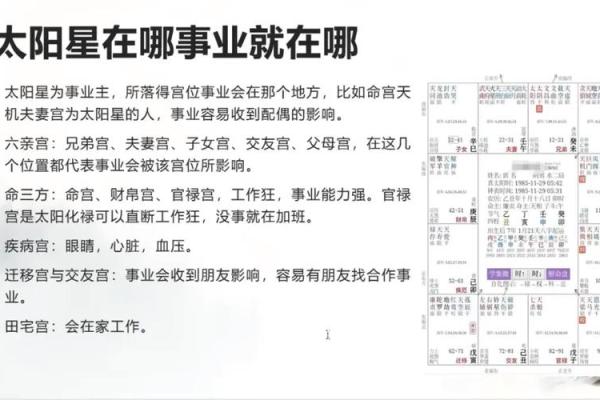 精通紫薇斗数