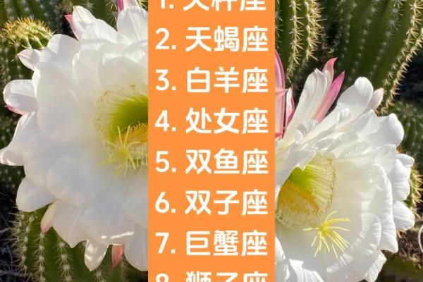 天秤适合跟什么星座最配做朋友