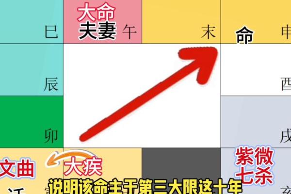 紫薇斗数网上命例