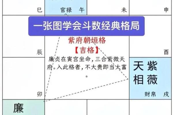 紫薇斗数网上命例