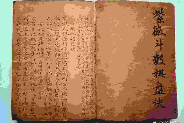 紫薇白娘子紫微斗数书