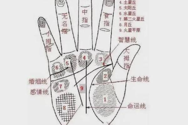 梦到男童给自己看手纹算命