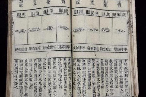 看相算命书