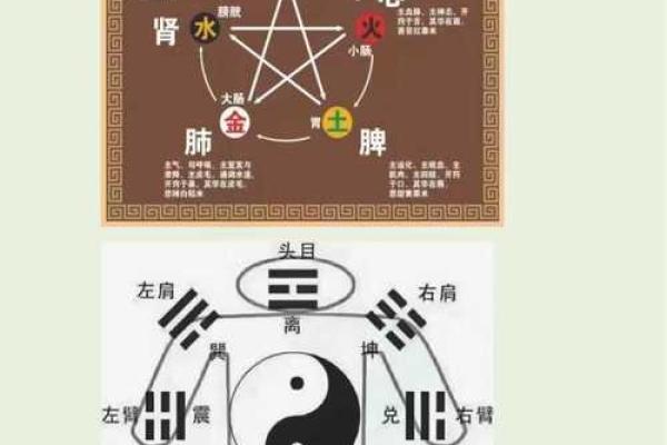 中国有多少种算命方法