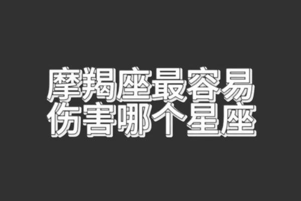 哪个星座能进入摩羯座内心的感觉