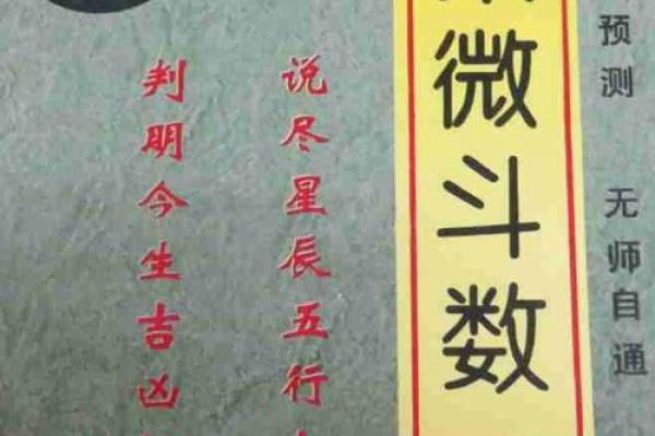 壹年山人紫薇斗数