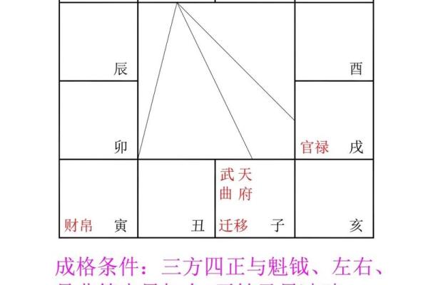 紫薇斗数紫薇七杀在亥