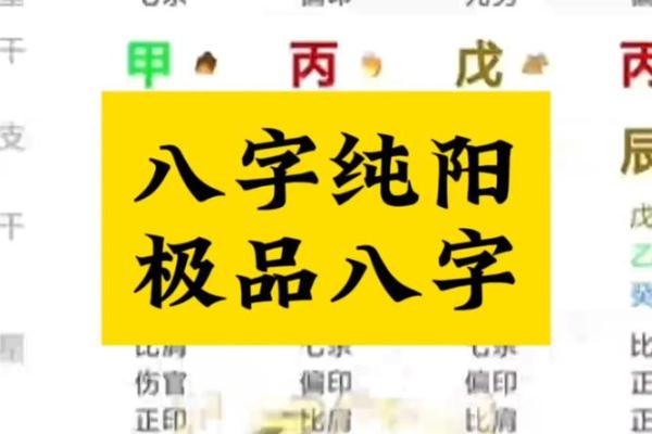 极品罕见富贵八字有哪些呢