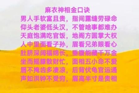 金口诀排盘怎么看