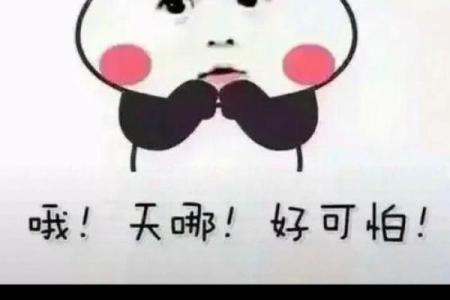 算命不说