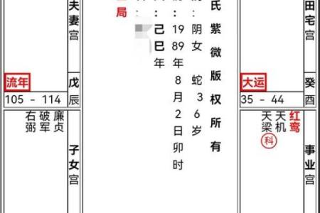 紫薇斗数财帛星