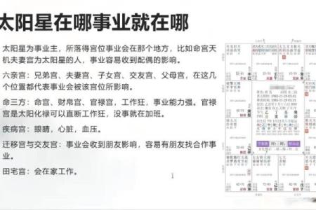 精通紫薇斗数