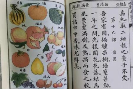 紫薇白娘子紫微斗数书