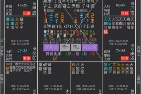 紫薇斗数可以看什么