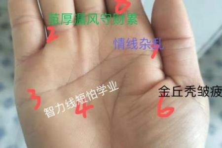 梦到男童给自己看手纹算命