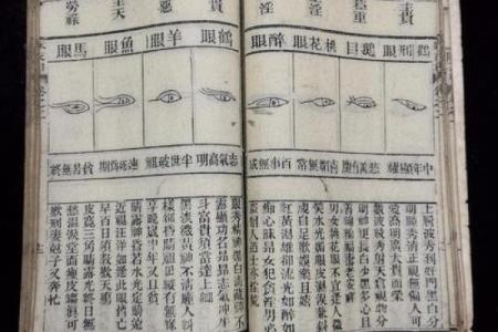 看相算命书