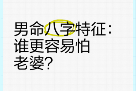 八字疼老婆