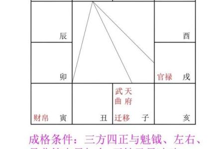 紫薇斗数紫薇七杀在亥