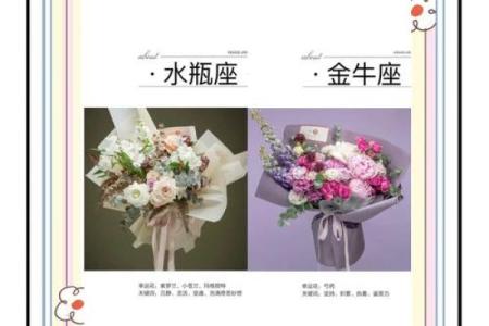 十二星座最合适的花