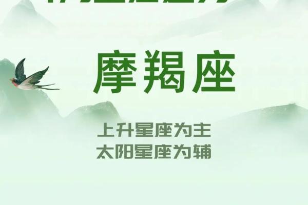 玛法达4月星座运势