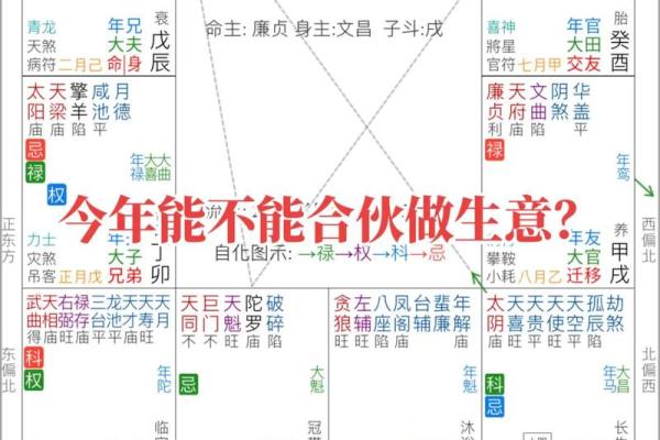 紫微斗数司法 紫微斗数怎么看官司？