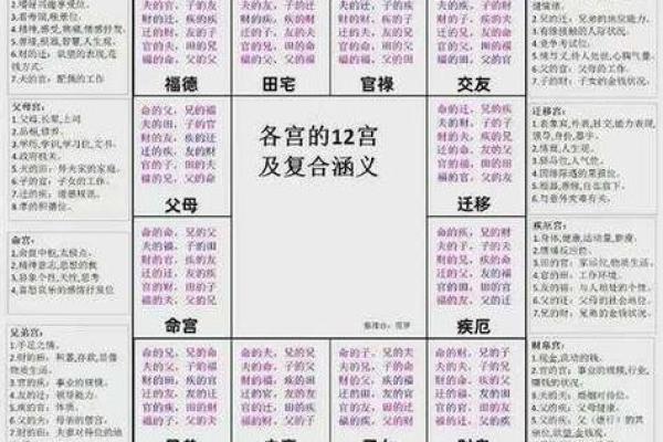 紫薇斗数双星速配