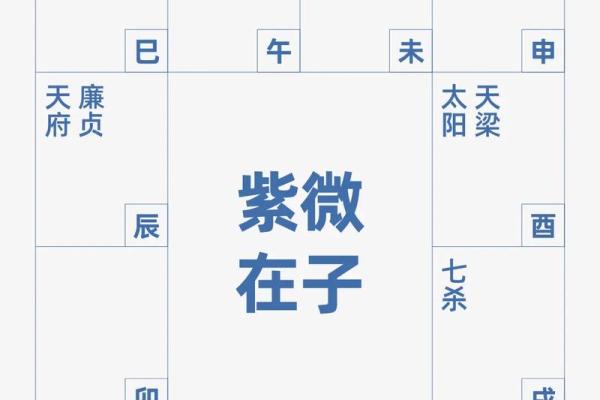 紫薇斗数几种格局