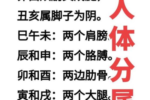 怎么看八字算命,如何自学拆八字