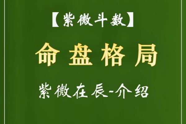 紫薇斗数事业有成