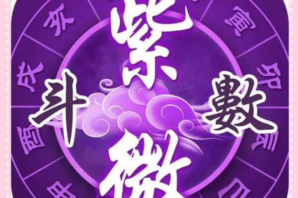 紫薇斗数事业有成