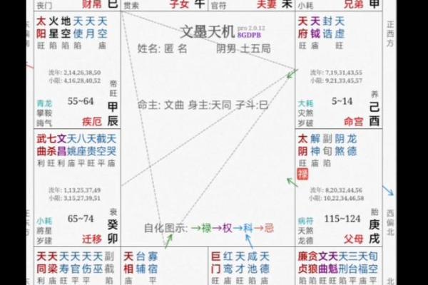 紫微斗数最上等格局 富贵格局
