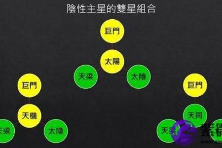 紫薇斗数双星组合
