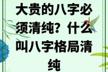 八字格局测试