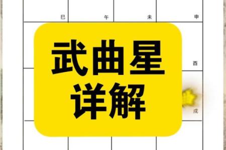 紫薇斗数文曲旺