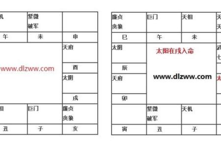 令东来紫薇斗数