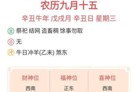 阴历算命日历