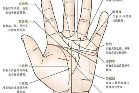 紫薇斗数父疾线看什么