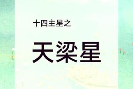 紫薇斗数梁派