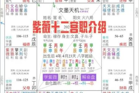 紫微斗数太阳星在各宫的影响