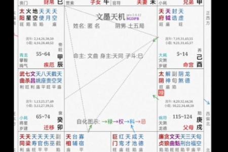 紫微斗数最上等格局 富贵格局