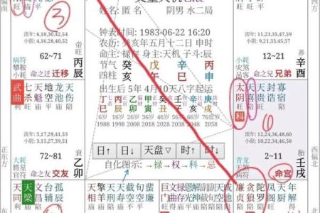 日月并命格,紫微斗数十大贵命命格